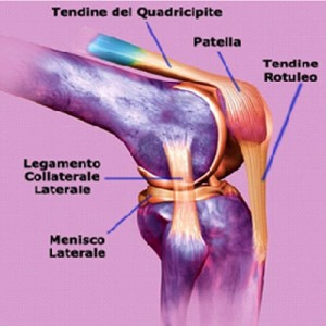 Gonalgia